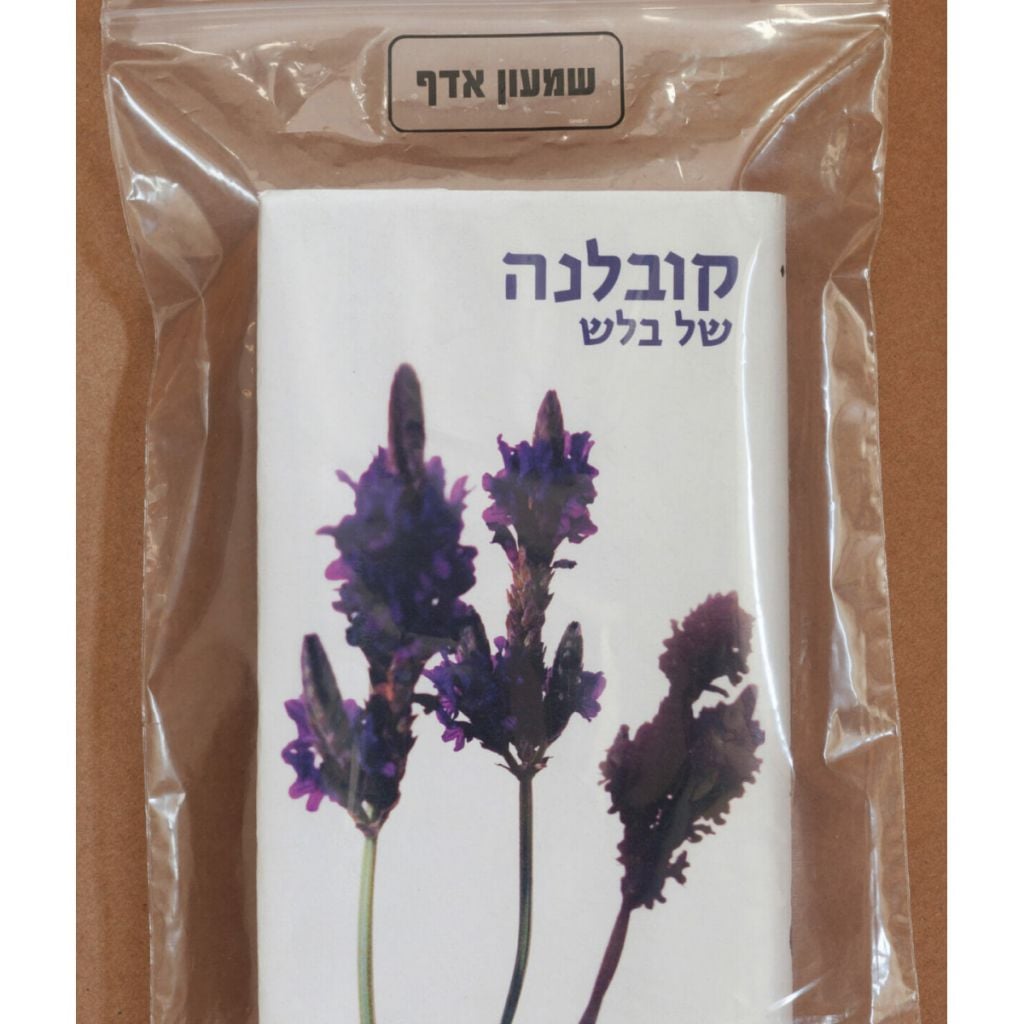 קובלנה של בלש cover